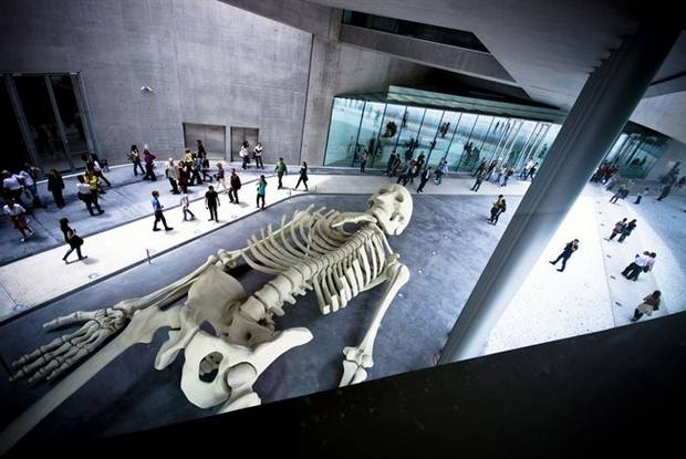 Óriás csontváz a római MAXXI modern művészeti múzeumban Óriás csontváz a római MAXXI modern művészeti múzeumban