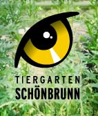 Patkányok a Schönbrunni Állatkertben