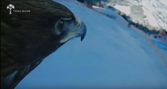 Szárnyaló madártávlatból a Hahnenkamm síverseny