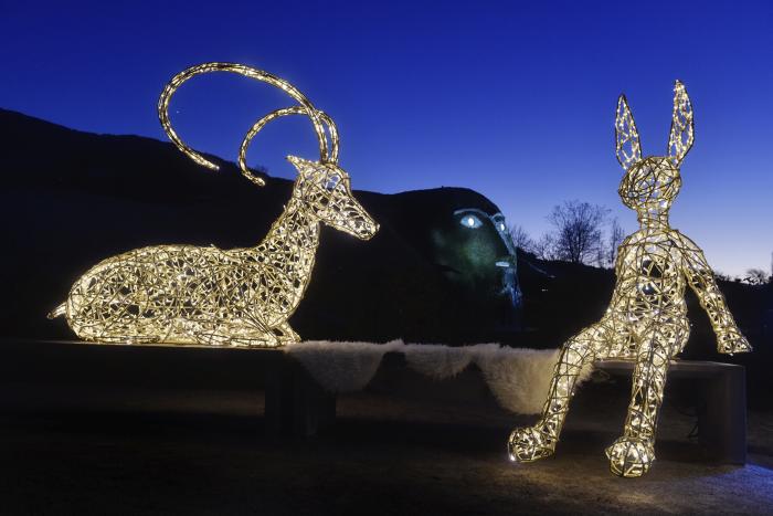 Téli csodavilág: mesés fényinstalláció a Swarovski kristályvilágokban