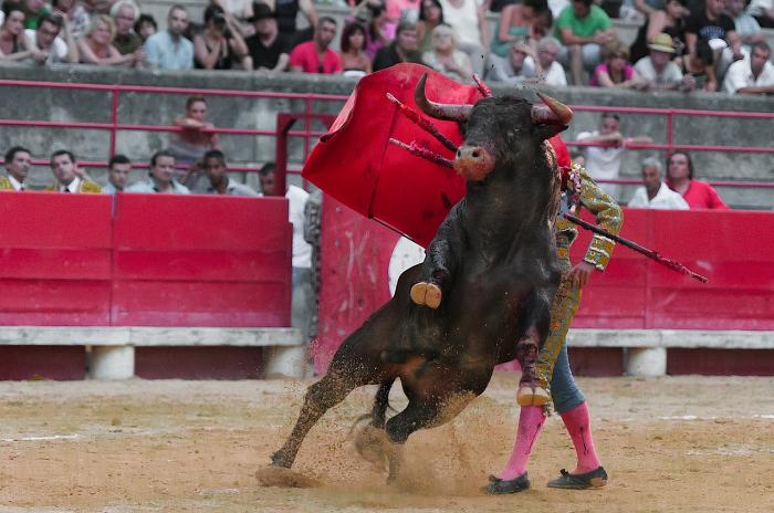 Vége lehet a bikaviadaloknak Spanyolországban