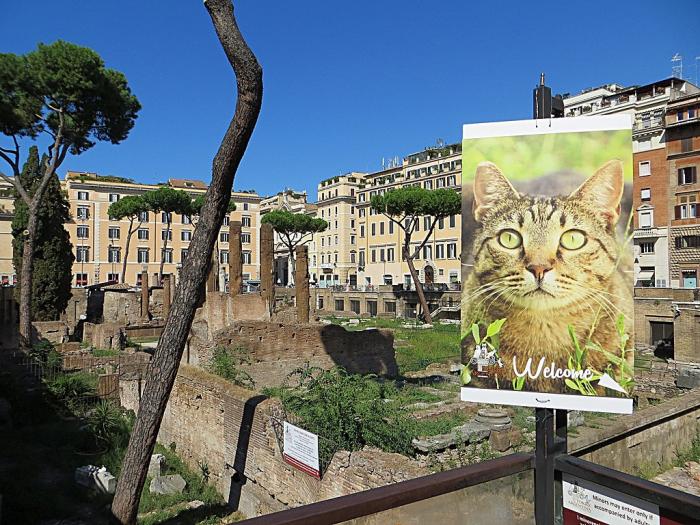 Nem sokáig laknak macskák Julius Ceasar meggyilkolásának helyszínén