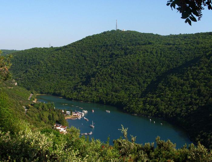 Őskori barlangrajzokra bukkantak Horvátországban