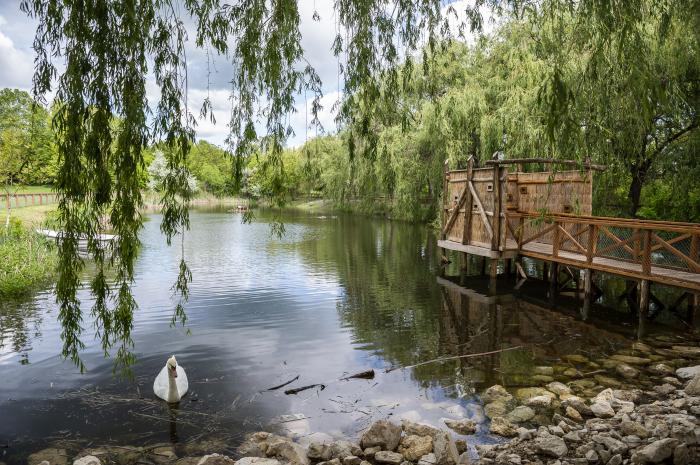 Izgalmasabb lett a velencei-tavi vadaspark