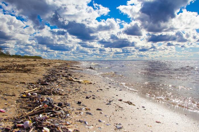 Az EU megtisztítja a világ tengerparti strandjait