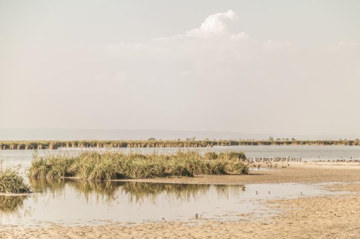 Elveszítheti a Fertő tó a Világörökség címet