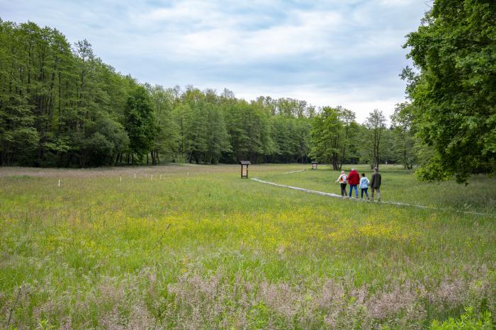 Jubileum: 20 éves az Őrségi Nemzeti Park