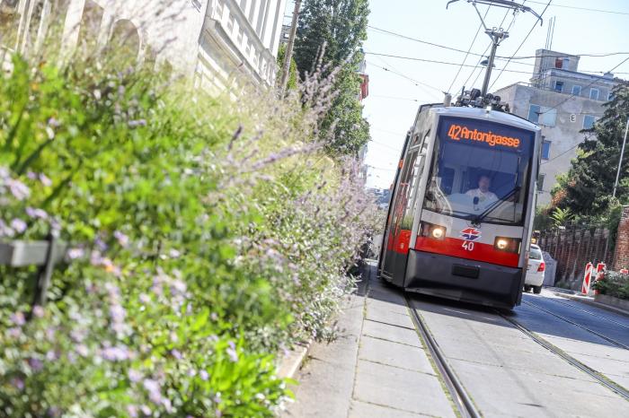 Brutális bírságra számíthatnak a rosszul parkolók Bécsben