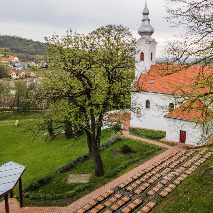 Szakrális fa lett az Év fája nyertese