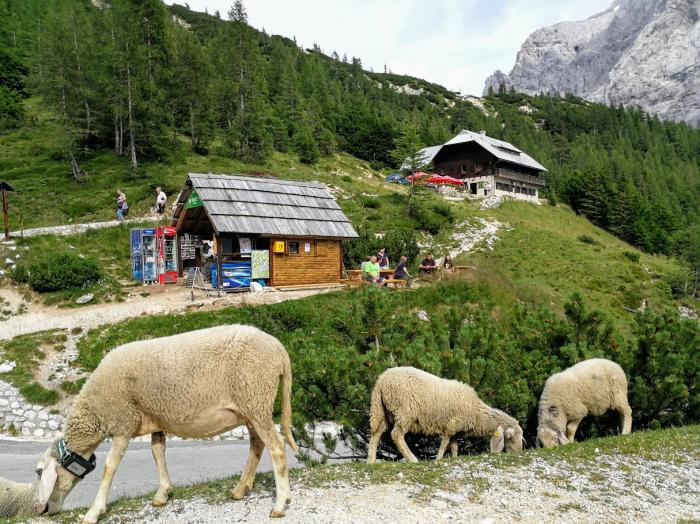 Sziklaomlás pusztította el a híres sziklaalakzatot a szlovén Júliai-Alpokban