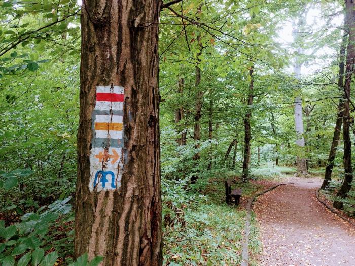 Így kerülheti el az azbeszttel szennyezett túrautakat