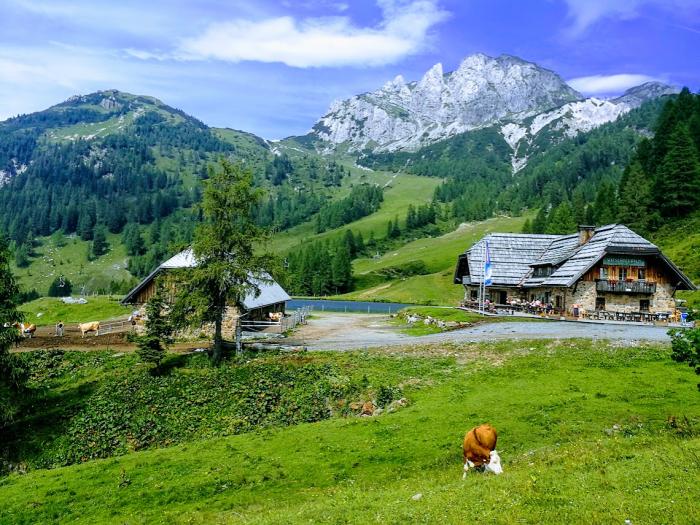 Kullancsok és szúnyogok terjednek az alpesi legelőkön